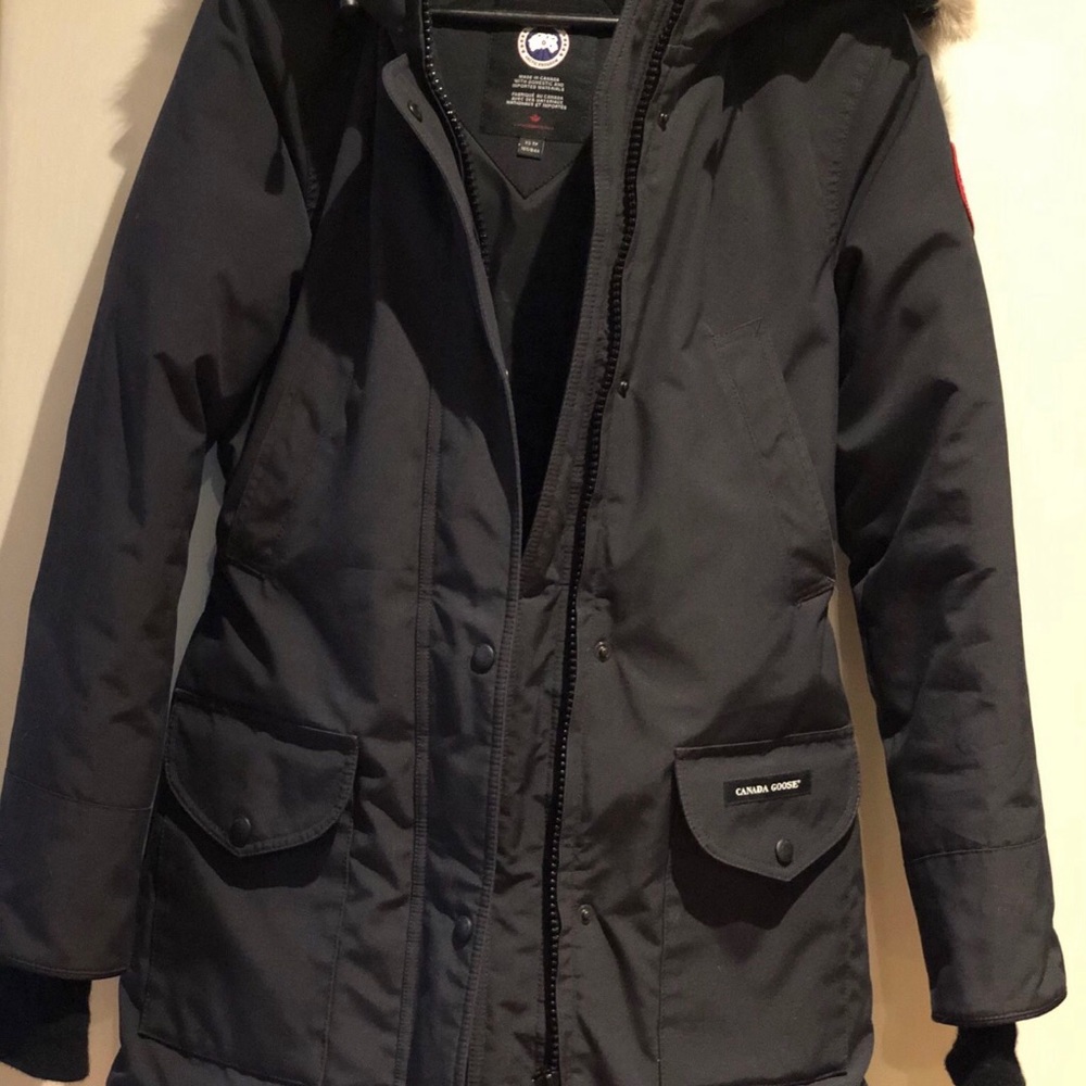 COPY - Canada goose